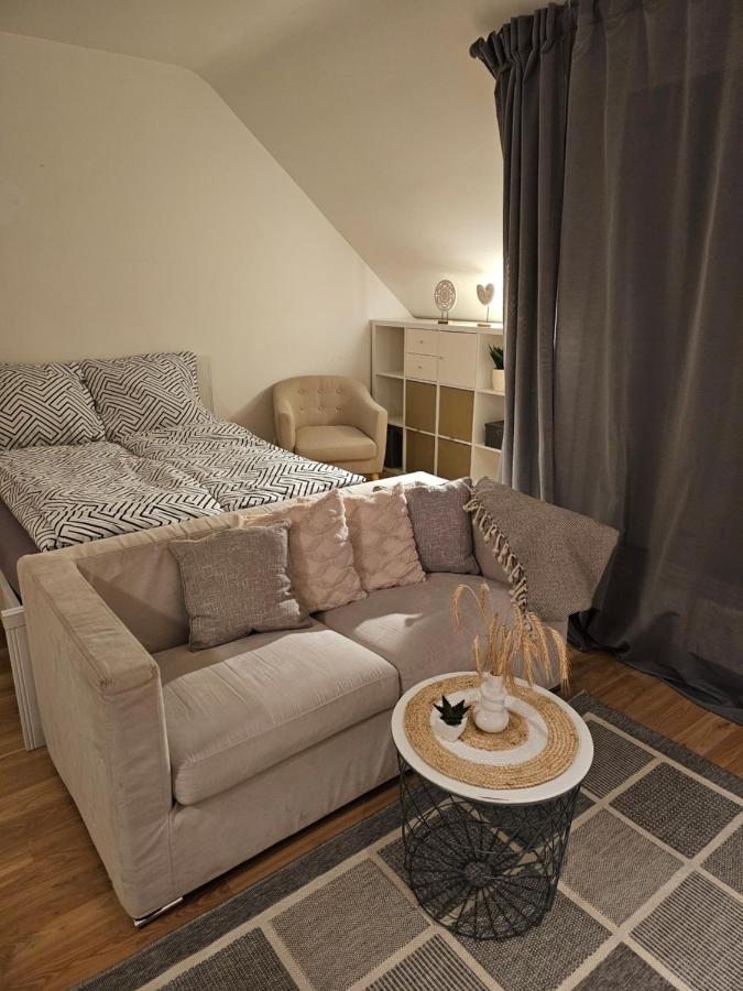 Modern Studio Near Duesseldorf Airport & Messe/Fair Медебах Екстер'єр фото